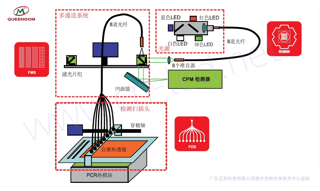 定量PCR仪原理图_副本.jpg