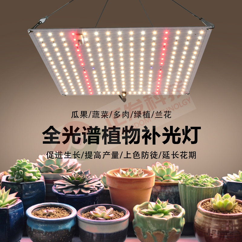 量子板植物灯