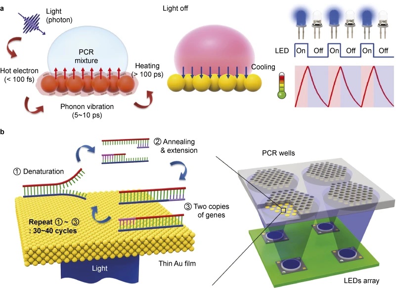 PCR 1.jpg