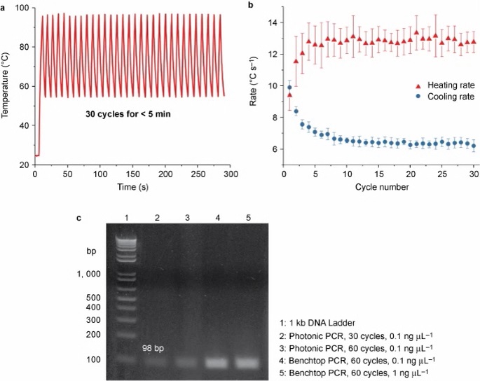 PCR 4.jpg