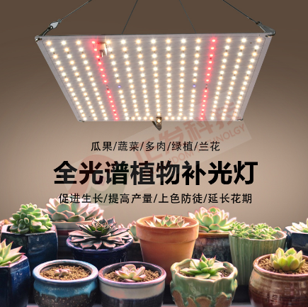 植物照明灯具的设计要求