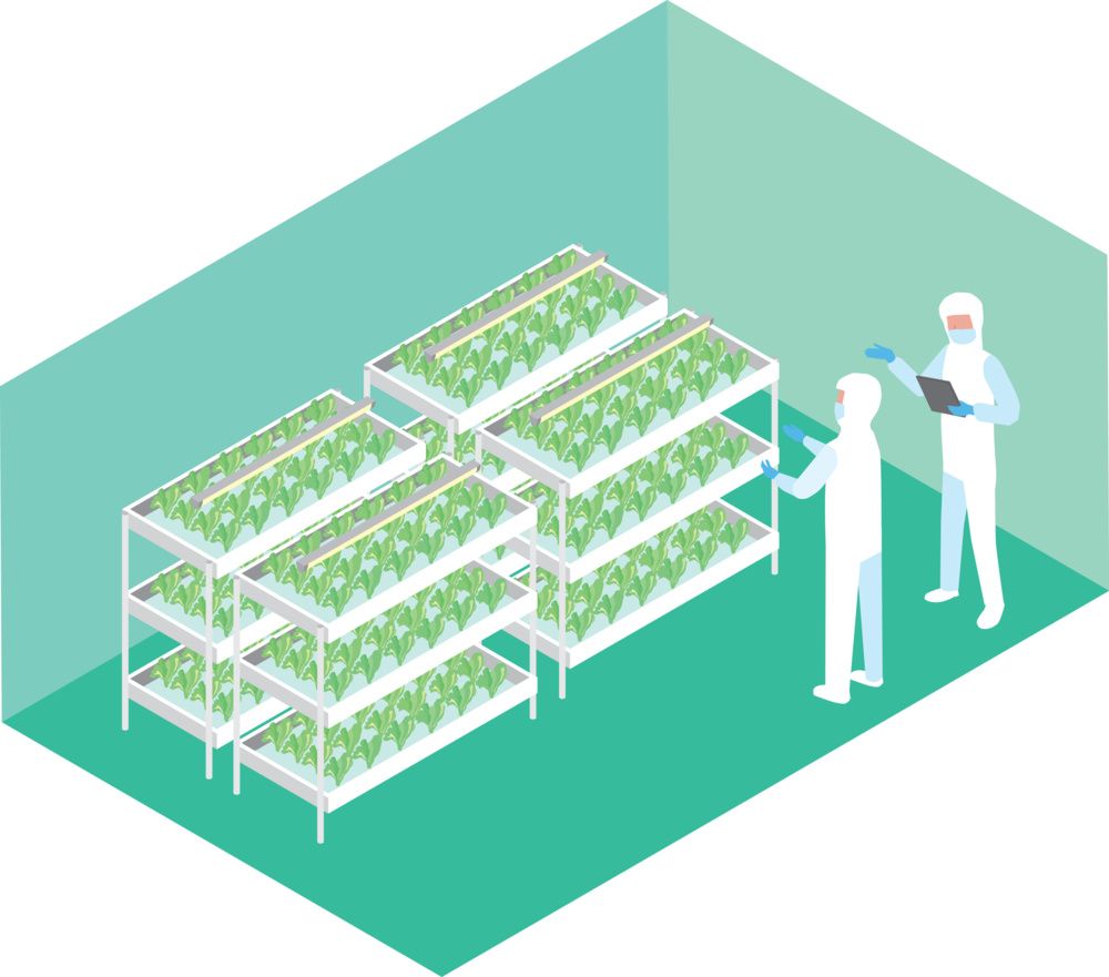 四川育苗种植照明案例